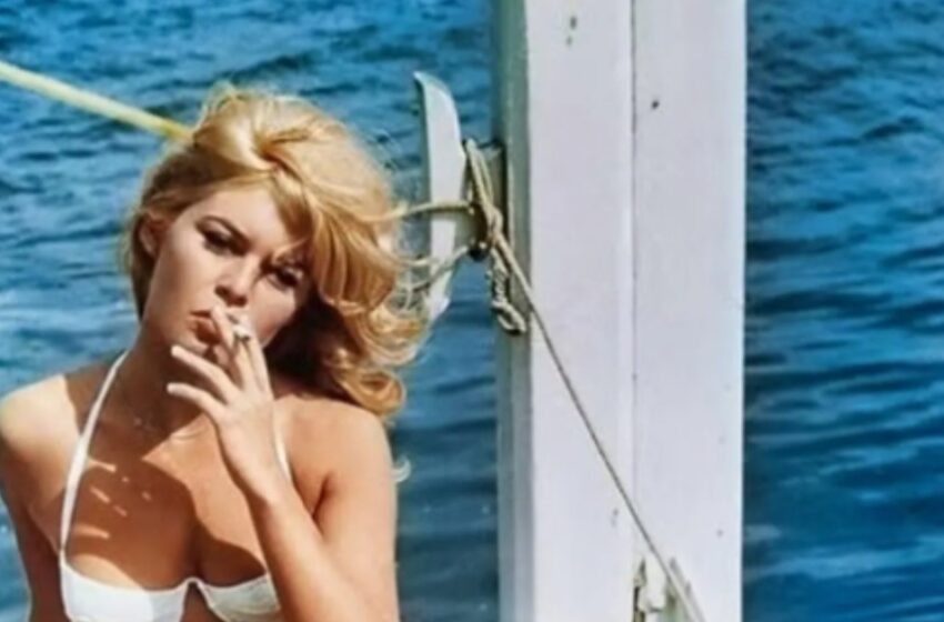 „Aš neketinu palikti šio pasaulio“: 91 metų Brigitte Bardot pralaužia tylą ir vis dar spindi kaip legendinė Prancūzijos kino ikona!