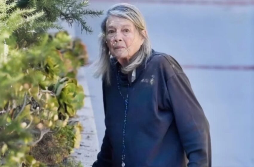  Retas pasirodymas: legendinė ’70-ųjų žvaigždė – ar atpažįstate ją retame pasirodymo kadrą?