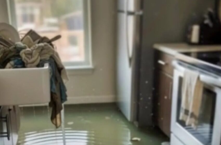  Mano nėščia svainė užliejo mūsų namus iš keršto! Ji nė neįsivaizdavo, ką mes padarysime toliau